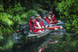 New Zealand 2025 (2 group) (5/84)